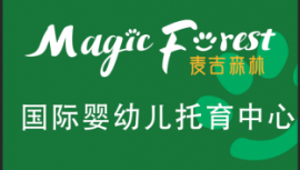 magicforest